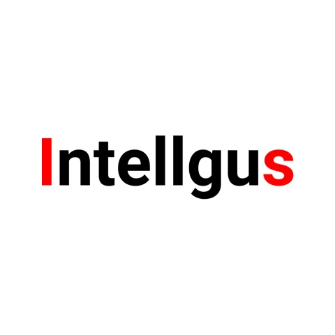 Intellgus - Outsourced Accounting Company