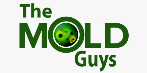 The Mold Guys