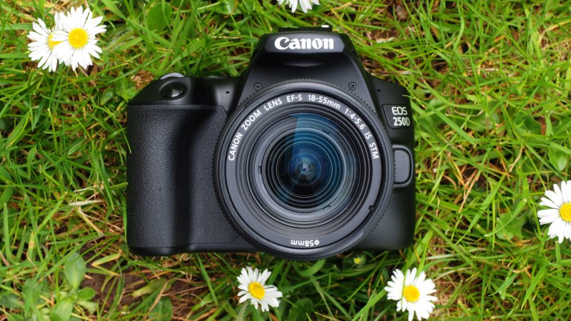 The Definitive Guide to the Best Budget Digital Cameras: Capturing Quality Without Breaking the Bank