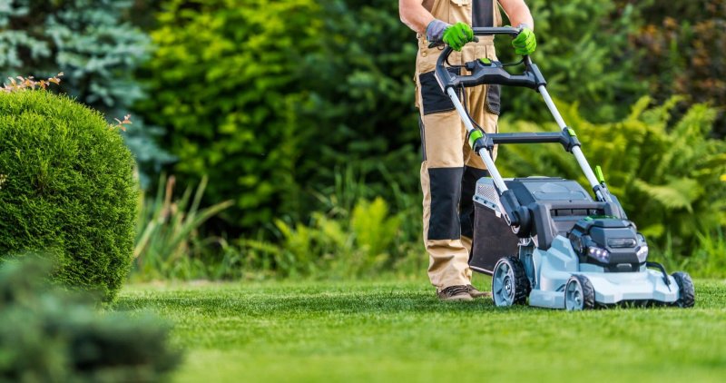 Best Electric Lawn Mower: Take It From a Grass-Obsessed Dad