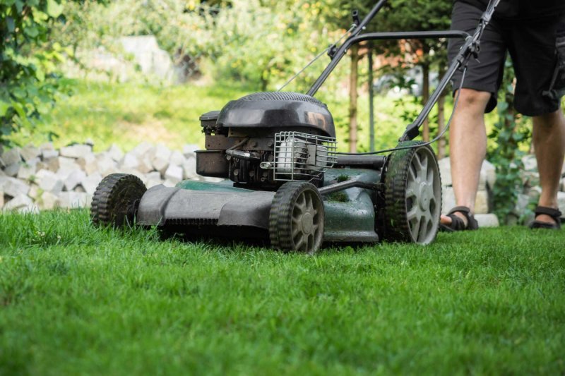 Beat the Heat: Your Comprehensive Guide to Protecting Your Grass During a Heatwave